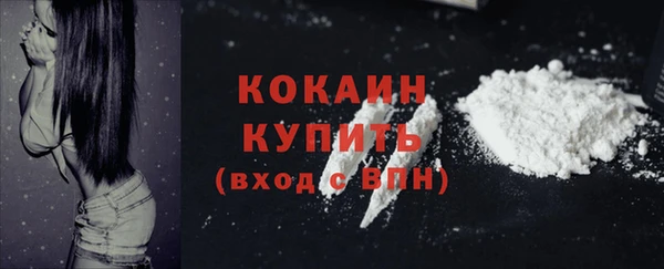 прущие крисы Верея