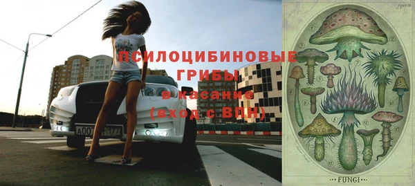 прущие крисы Верея