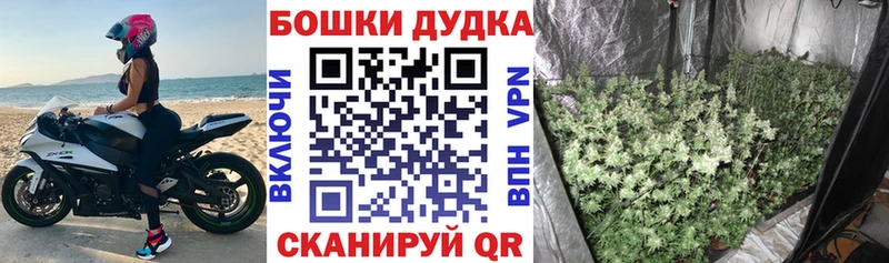 Конопля LSD WEED  Купить  Красавино 
